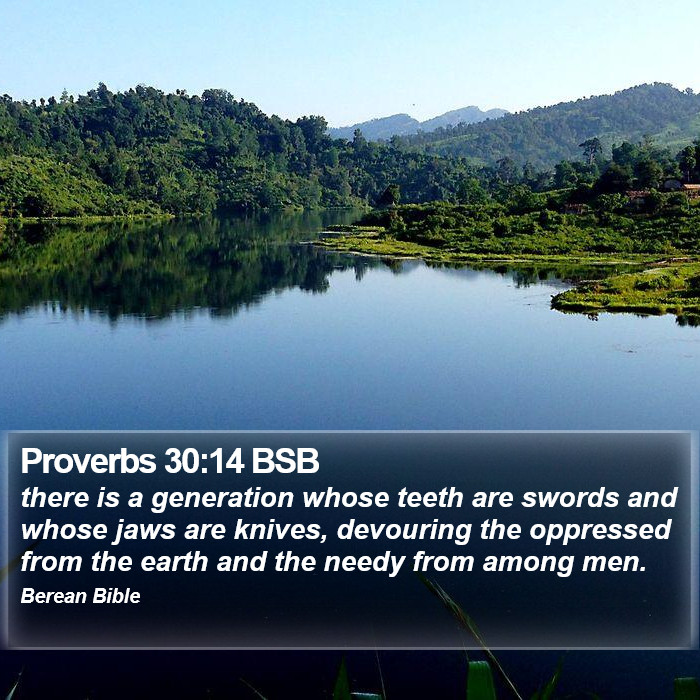 Proverbs 30:14 BSB Bible Study