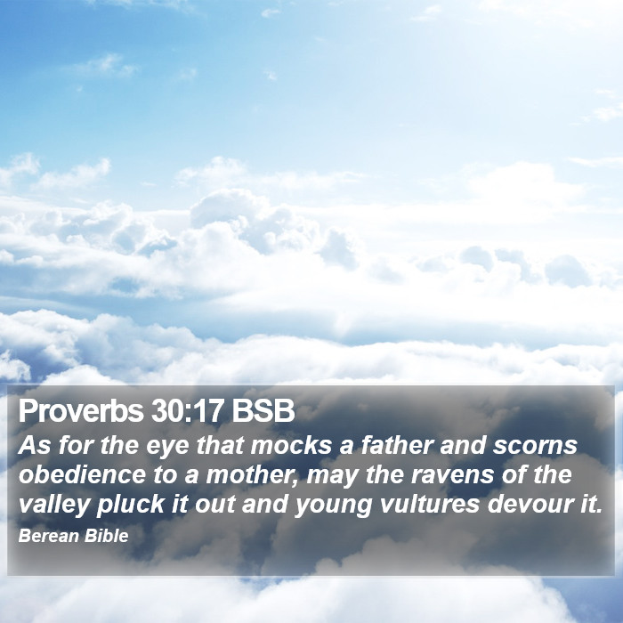 Proverbs 30:17 BSB Bible Study