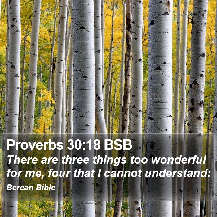 Proverbs 30:18 BSB Bible Study