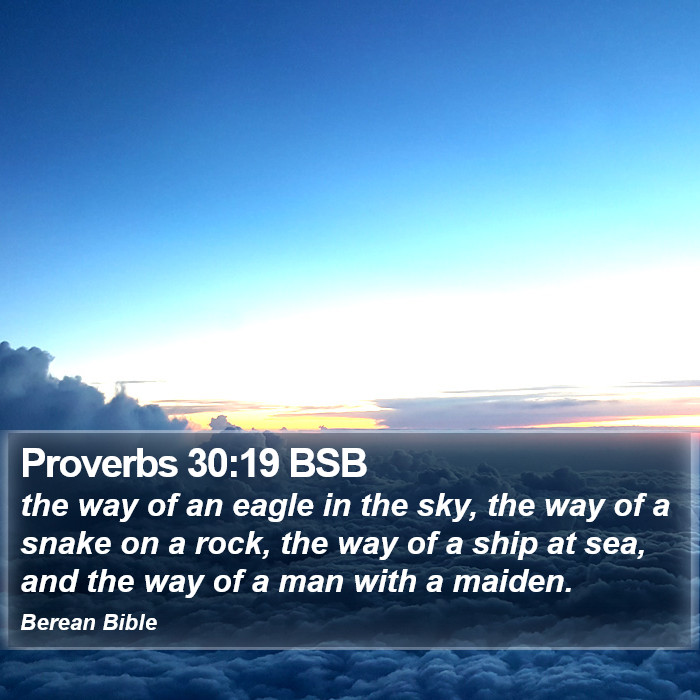 Proverbs 30:19 BSB Bible Study