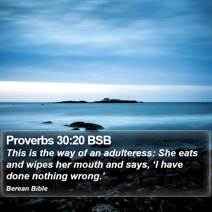 Proverbs 30:20 BSB Bible Study