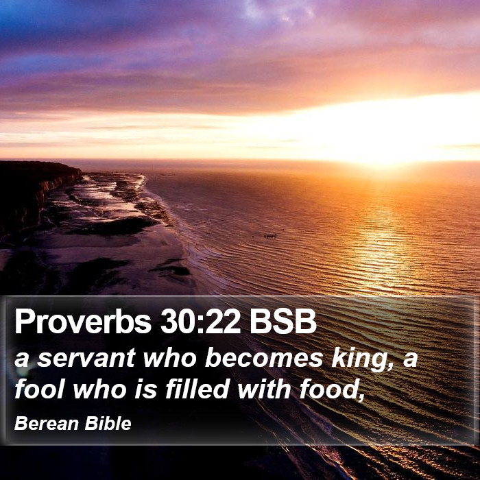 Proverbs 30:22 BSB Bible Study