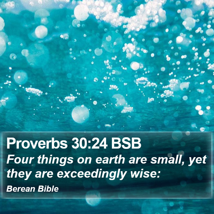 Proverbs 30:24 BSB Bible Study