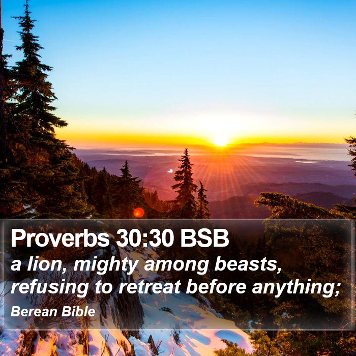 Proverbs 30:30 BSB Bible Study