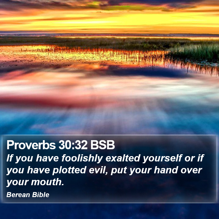 Proverbs 30:32 BSB Bible Study