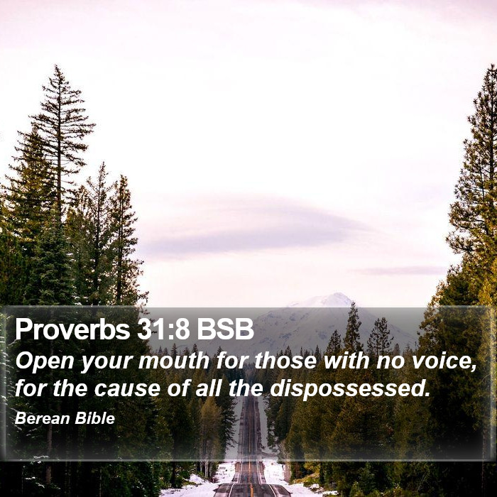 Proverbs 31:8 BSB Bible Study