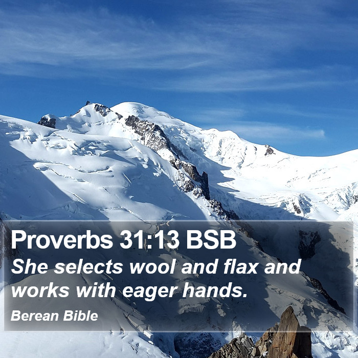 Proverbs 31:13 BSB Bible Study