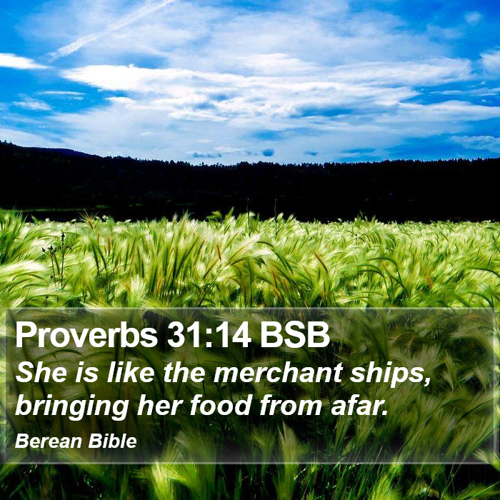 Proverbs 31:14 BSB Bible Study