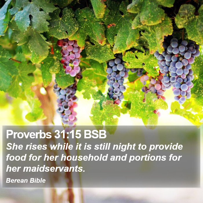 Proverbs 31:15 BSB Bible Study