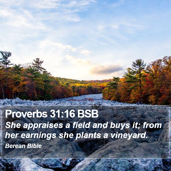 Proverbs 31:16 BSB Bible Study