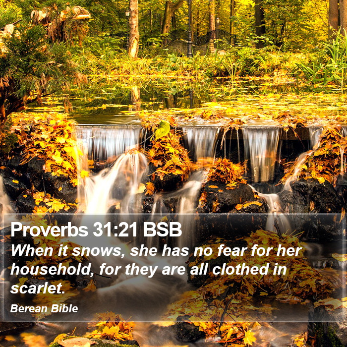 Proverbs 31:21 BSB Bible Study