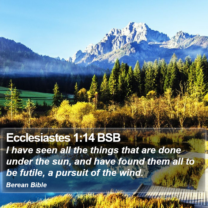 Ecclesiastes 1:14 BSB Bible Study