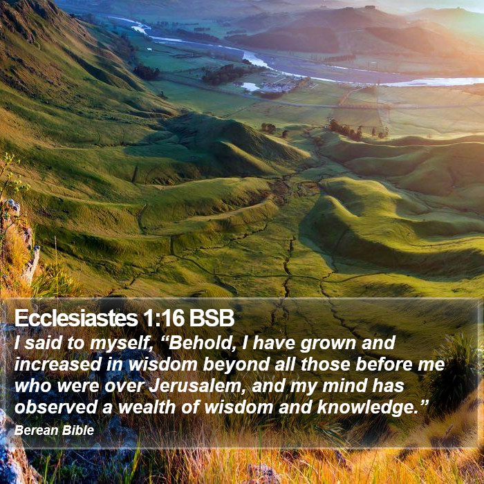 Ecclesiastes 1:16 BSB Bible Study