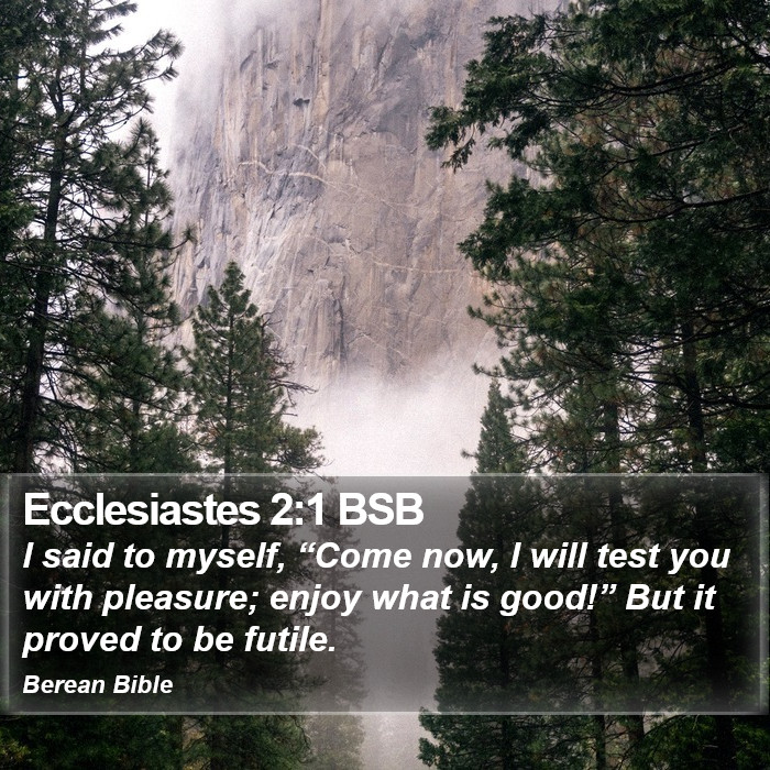 Ecclesiastes 2:1 BSB Bible Study