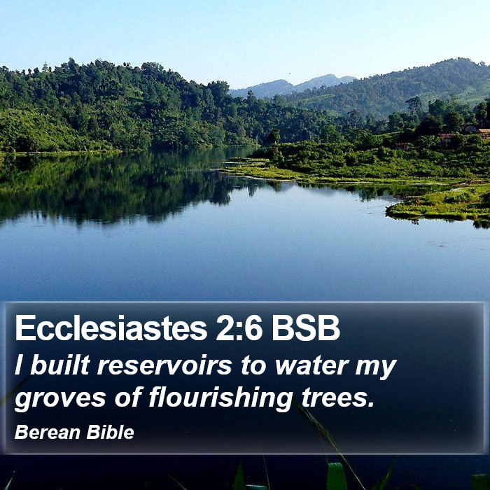 Ecclesiastes 2:6 BSB Bible Study