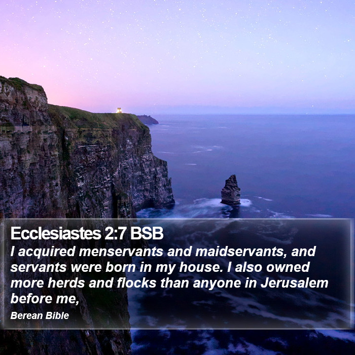 Ecclesiastes 2:7 BSB Bible Study