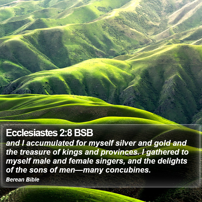 Ecclesiastes 2:8 BSB Bible Study