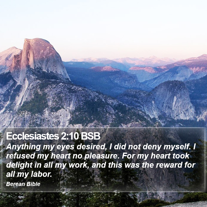 Ecclesiastes 2:10 BSB Bible Study