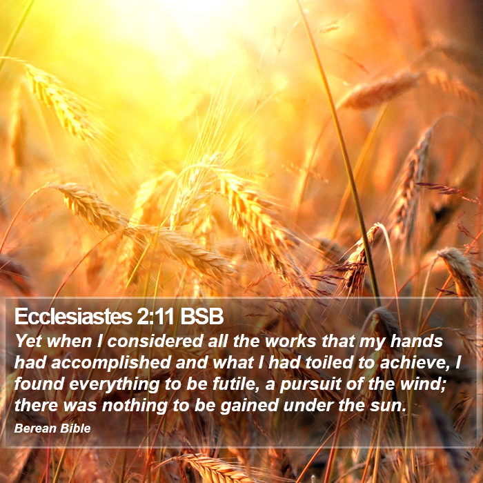 Ecclesiastes 2:11 BSB Bible Study