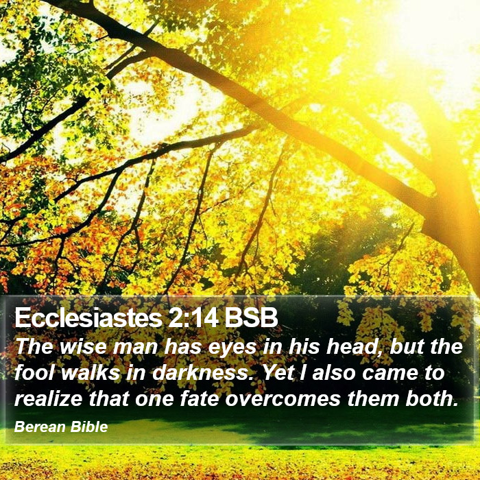 Ecclesiastes 2:14 BSB Bible Study