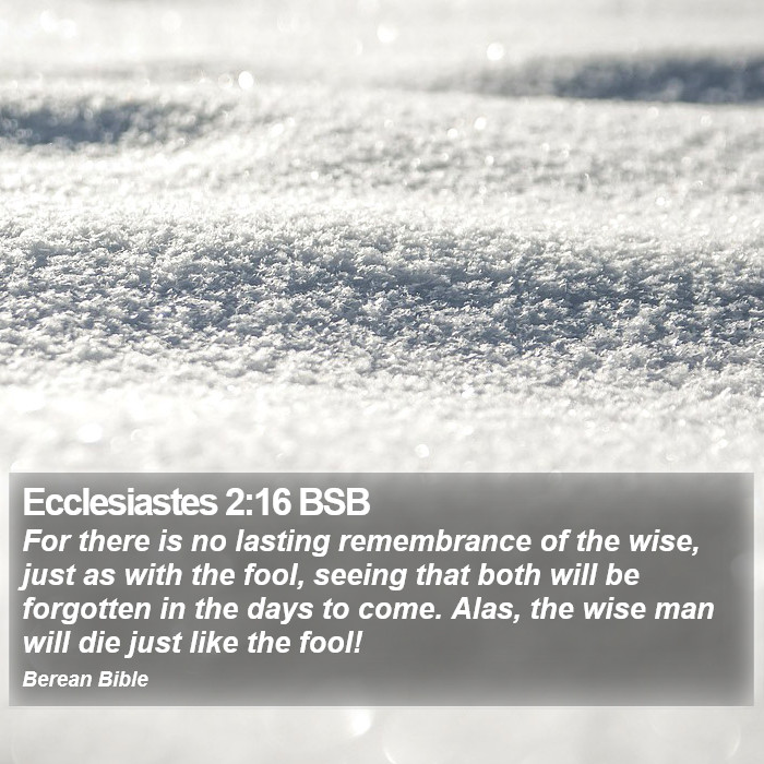 Ecclesiastes 2:16 BSB Bible Study