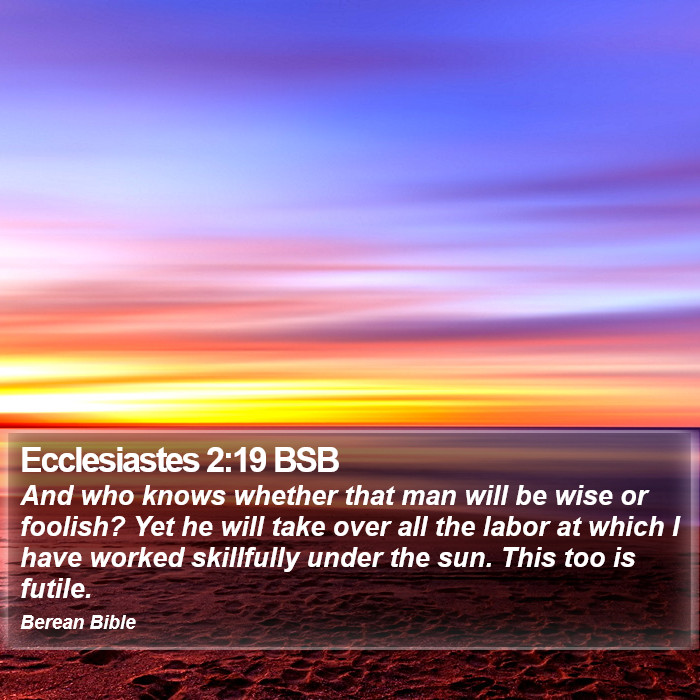 Ecclesiastes 2:19 BSB Bible Study