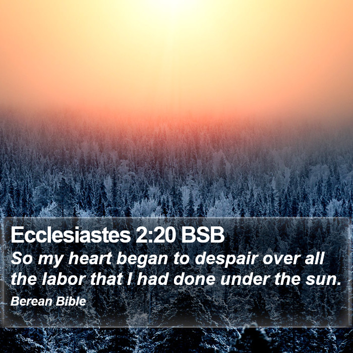 Ecclesiastes 2:20 BSB Bible Study