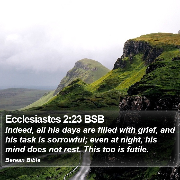 Ecclesiastes 2:23 BSB Bible Study