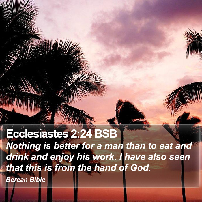 Ecclesiastes 2:24 BSB Bible Study