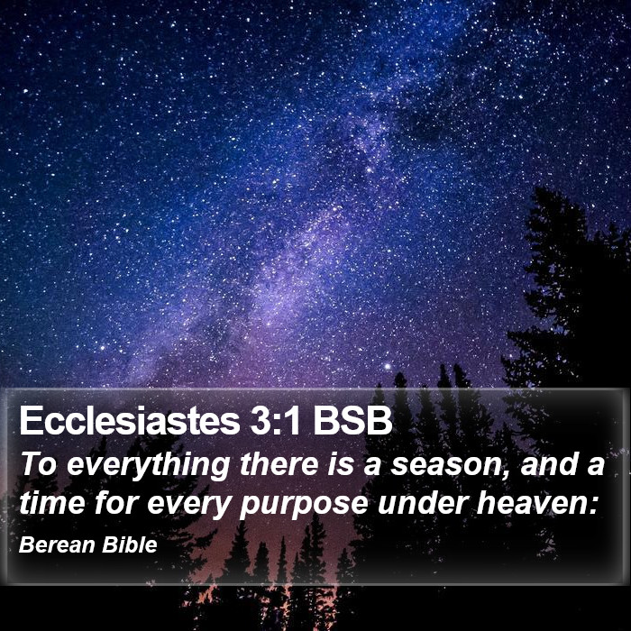 Ecclesiastes 3:1 BSB Bible Study