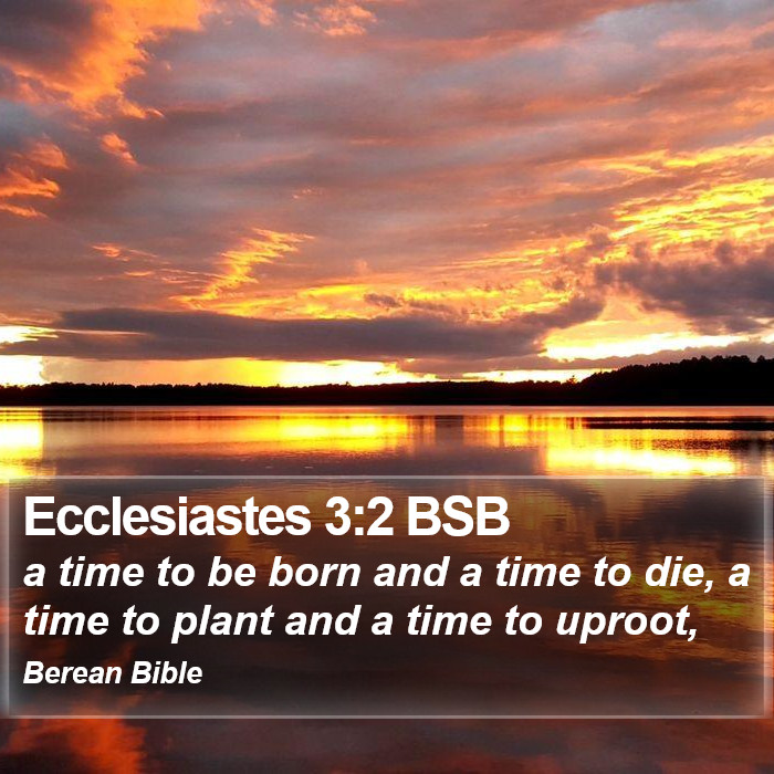 Ecclesiastes 3:2 BSB Bible Study