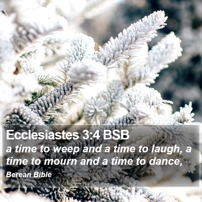 Ecclesiastes 3:4 BSB Bible Study