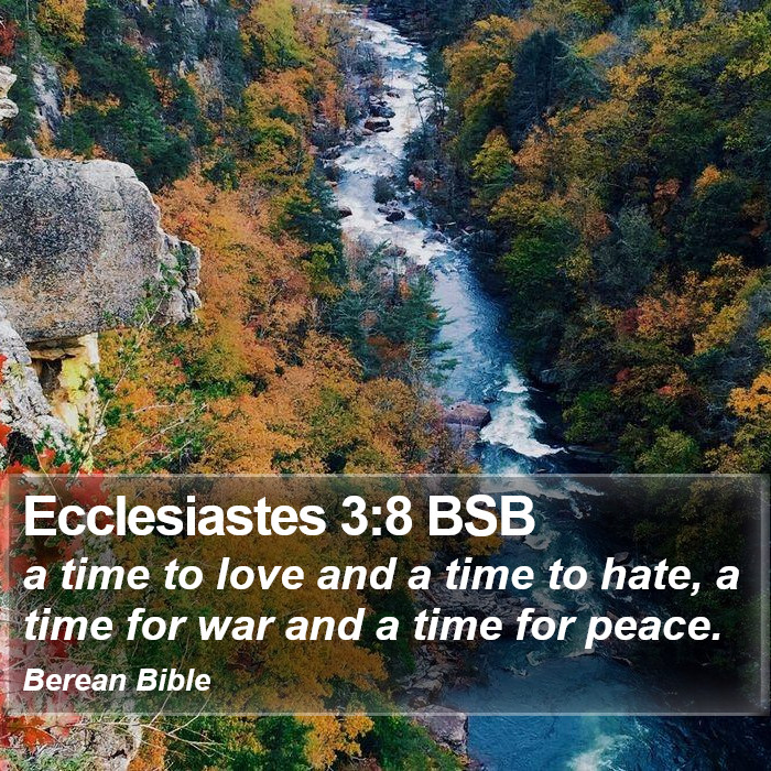 Ecclesiastes 3:8 BSB Bible Study