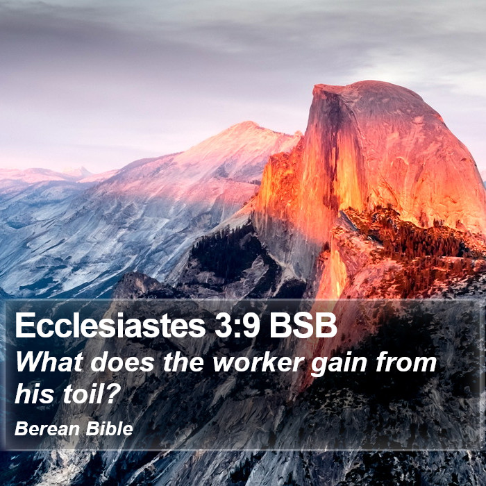 Ecclesiastes 3:9 BSB Bible Study