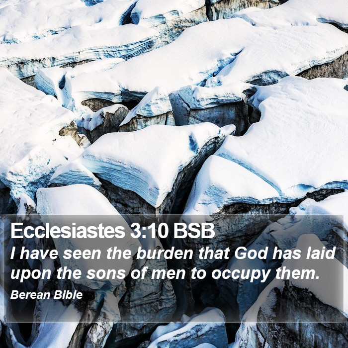 Ecclesiastes 3:10 BSB Bible Study