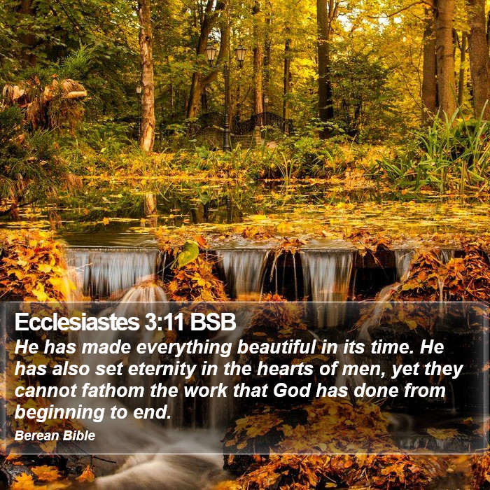 Ecclesiastes 3:11 BSB Bible Study