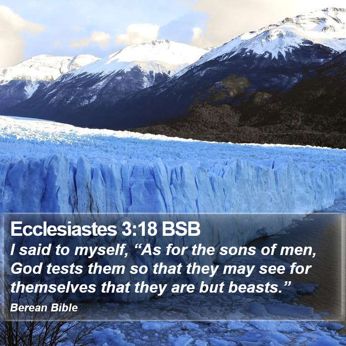 Ecclesiastes 3:18 BSB Bible Study