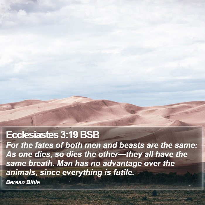 Ecclesiastes 3:19 BSB Bible Study