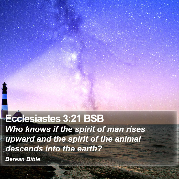 Ecclesiastes 3:21 BSB Bible Study