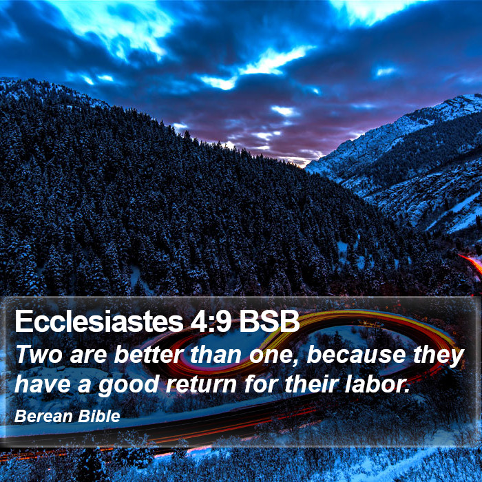 Ecclesiastes 4:9 BSB Bible Study