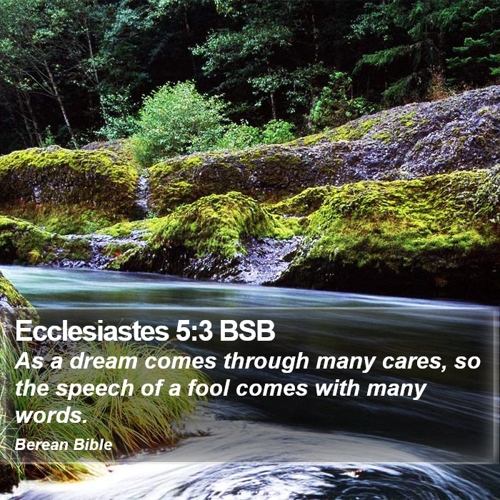 Ecclesiastes 5:3 BSB Bible Study