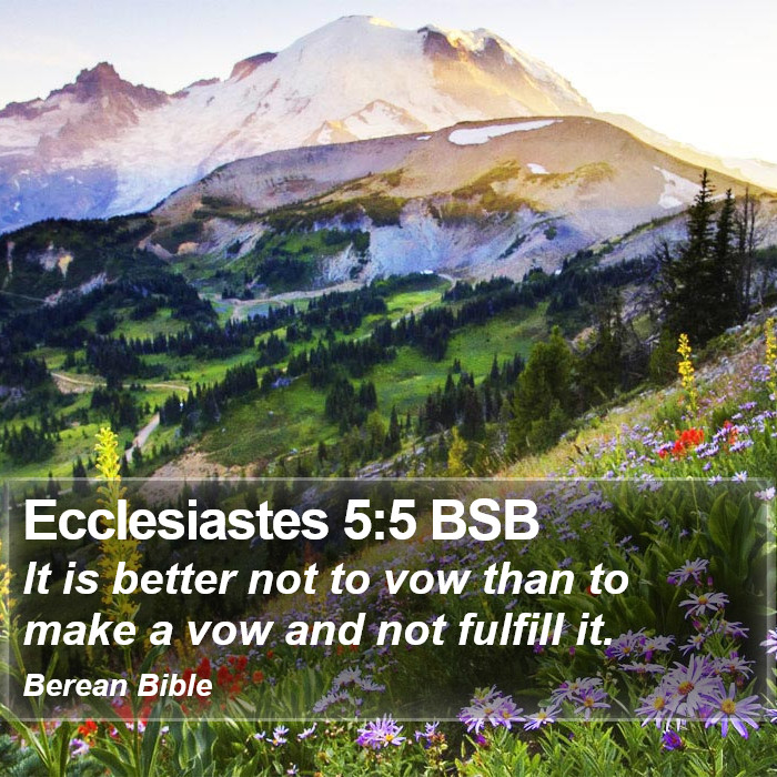 Ecclesiastes 5:5 BSB Bible Study