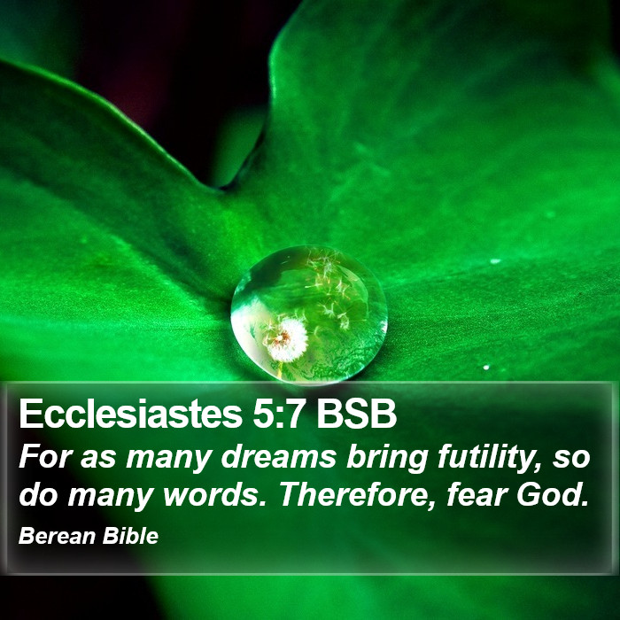 Ecclesiastes 5:7 BSB Bible Study