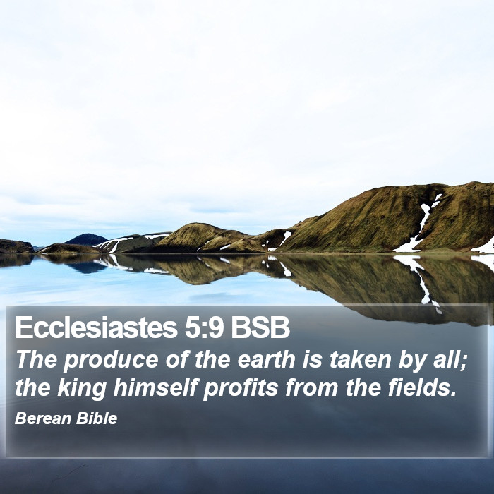 Ecclesiastes 5:9 BSB Bible Study