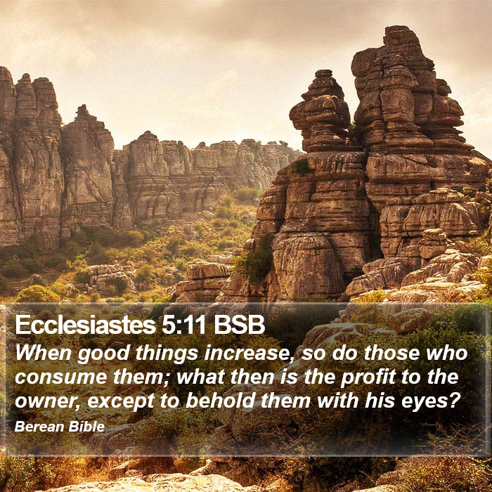 Ecclesiastes 5:11 BSB Bible Study