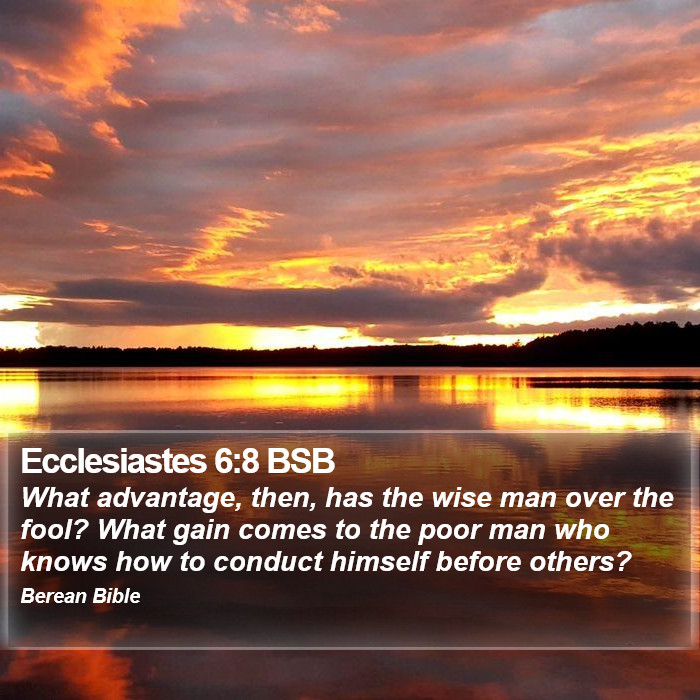 Ecclesiastes 6:8 BSB Bible Study