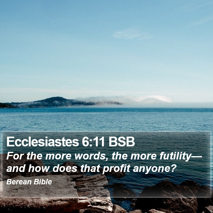 Ecclesiastes 6:11 BSB Bible Study