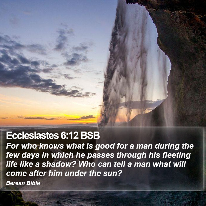 Ecclesiastes 6:12 BSB Bible Study