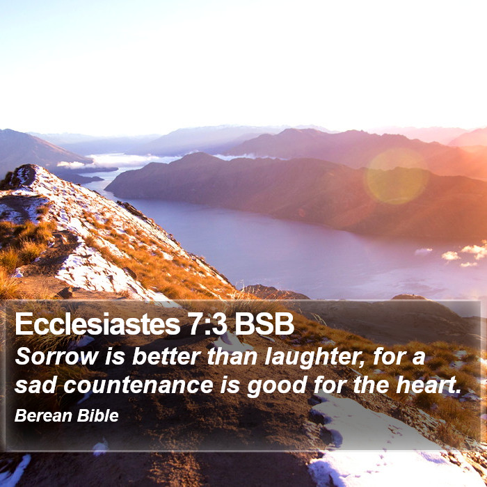 Ecclesiastes 7:3 BSB Bible Study