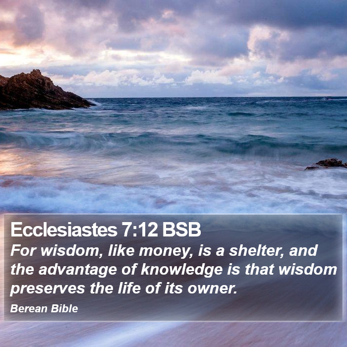 Ecclesiastes 7:12 BSB Bible Study